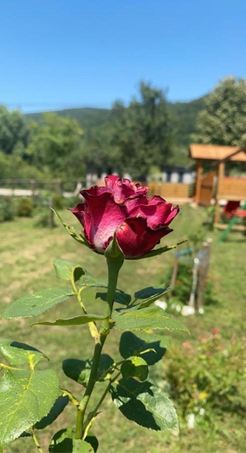 Bihać Wooden House Ripacヴィラ エクステリア 写真