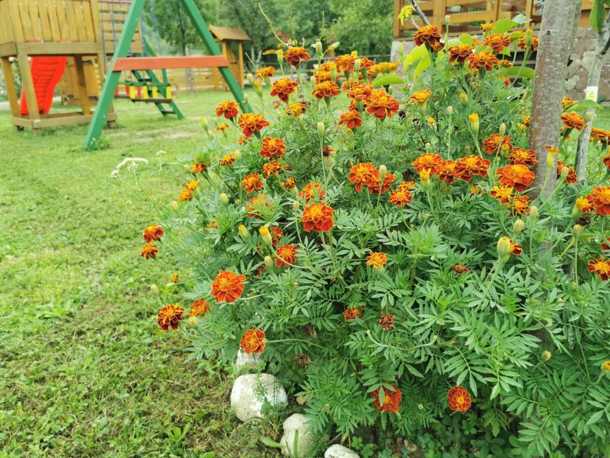 Bihać Wooden House Ripacヴィラ エクステリア 写真